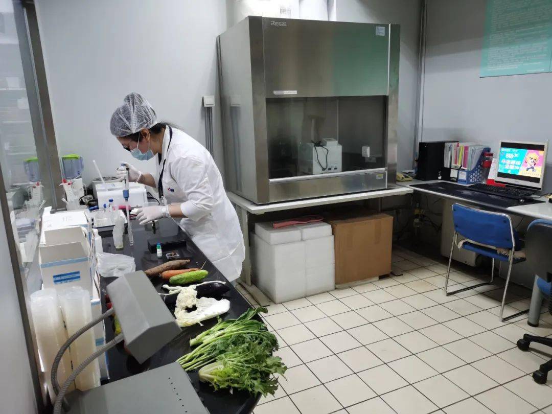 河南食品检测实验室装修方案